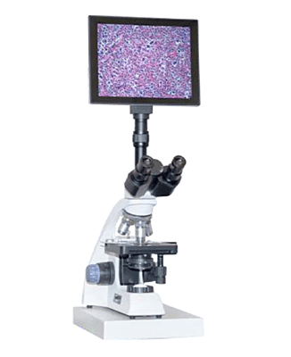 Digital Video Microscope Series - Almicro