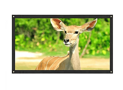 DotNet Map/Calendar Type Projection Screen 6x8 ft.