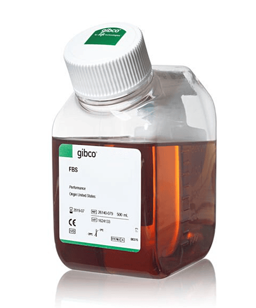 GIBCO FETAL BOVINE SERUM QUALIFIED, EU APPROVED SOUTH AMERICA ORIGIN 500 ML(10270106)