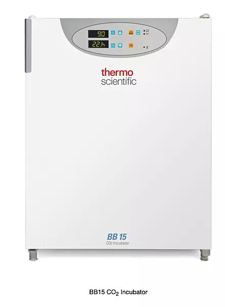 Thermo Scientific™ BB15 CO2 Incubator, 150LTR (51023121)