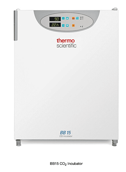 Thermo Scientific™ BB15 CO2 Incubator, 150LTR (51023121)