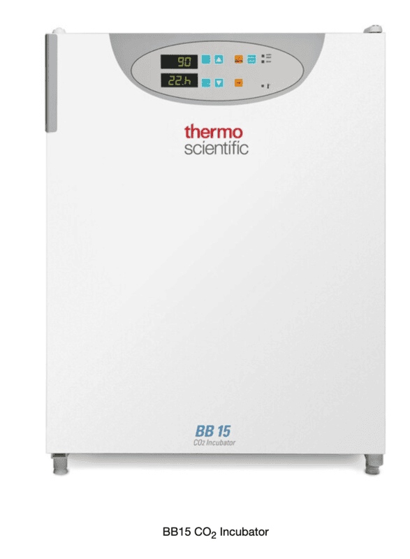 Thermo Scientific™ BB15 CO2 Incubator, 150LTR (51023121)