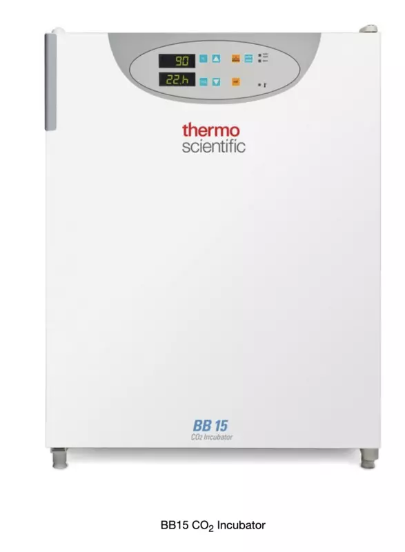Thermo Scientific™ BB15 CO2 Incubator, 150LTR (51023121)