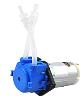 CKP-DC-S08 PUMP with Nozzle