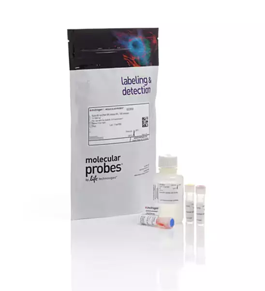 Invitrogen Qubit™ dsDNA Quantification Assay Kits (100 Assays) (Q32850)