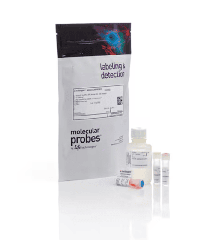 Invitrogen Qubit™ dsDNA Quantification Assay Kits (100 Assays) (Q32850)