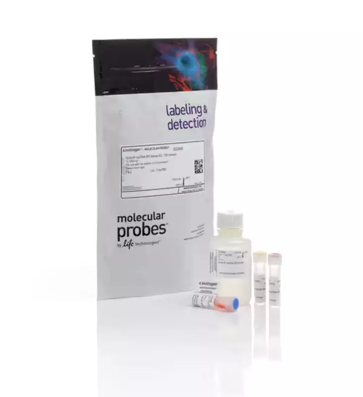 Invitrogen Qubit™ dsDNA Quantification Assay Kits (100 Assays) (Q32850)