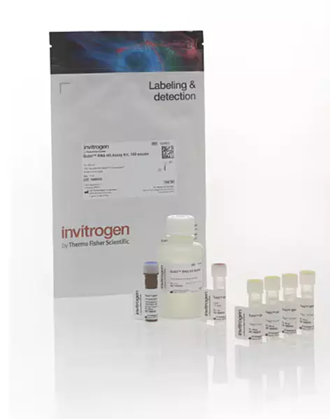 Invitrogen™ Qubit™ RNA High Sensitivity (HS), Broad Range (BR), and Extended Range (XR) Assay Kits (Q32852)