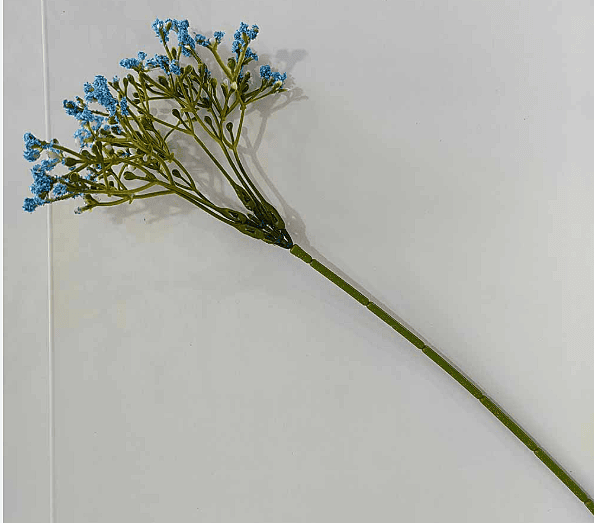 Blue Gypsy Flower 1 Bunch