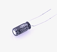 Electrolytic Capacitor Radial Through Hole (Pack of 1)