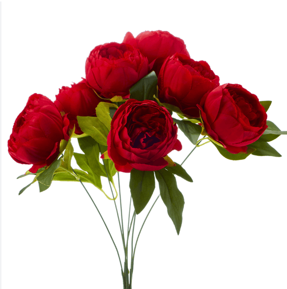 Peony Bunch Maroon with fillers