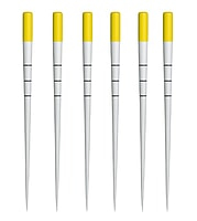Dentsply Protaper Universal Paper Points