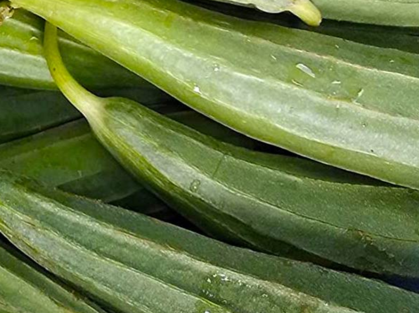 Ridged Gourd (Tori/Torai) 500 Gms