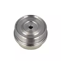 BOSCH – SCREW PLUG – SUITABLE FOR ALL DIESEL VEHICLE FIPS | F002D12533
