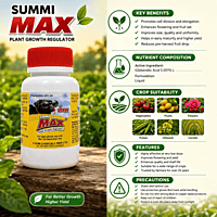 SUMI MAX® Plant Growth Regulator – Fluazinam 50% SC – 10 ml | Vetrivel Agro Services