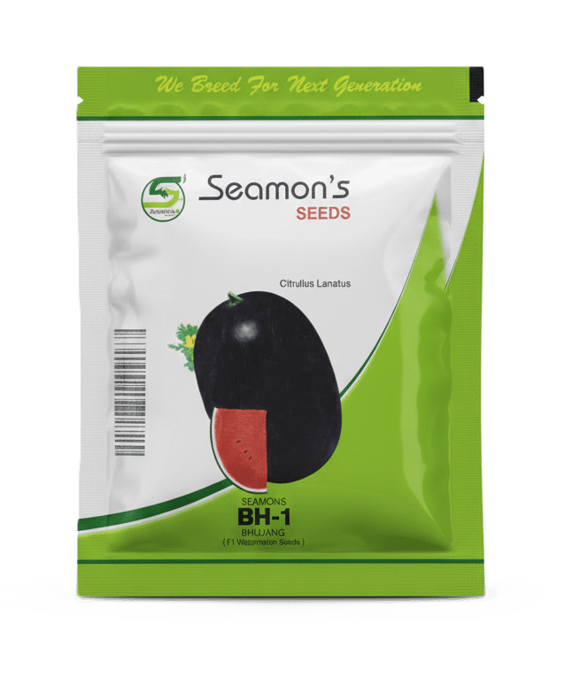 Watermelon Baahu by Seamons Seeds