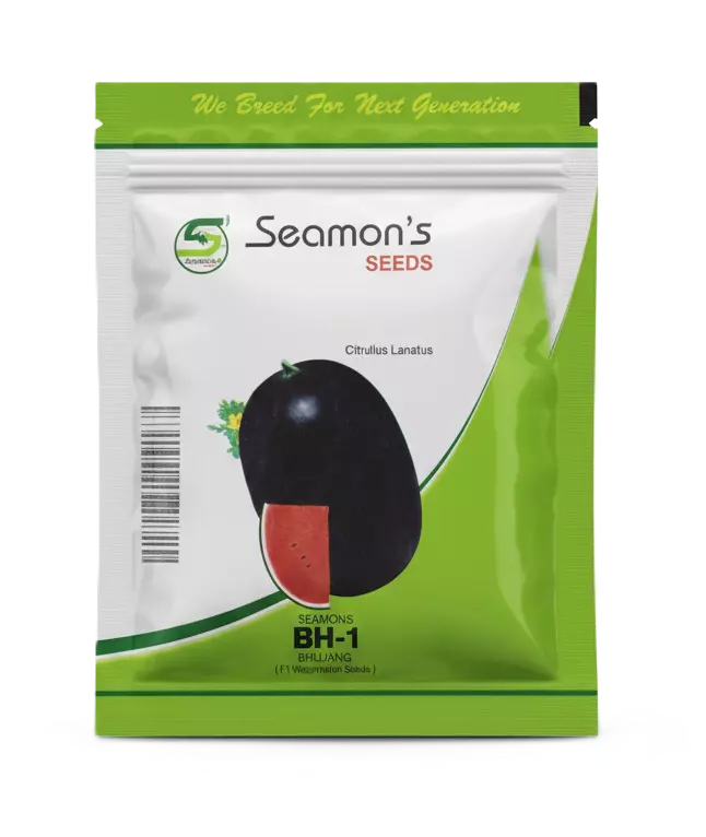 Watermelon Baahu by Seamons Seeds