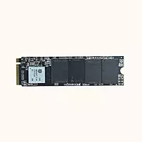 Secure Net SSD NVMe 1TB