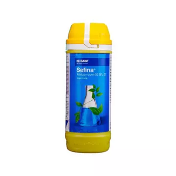 Sefina Insecticide (Afidopyropen 5% DC) – Broad-Spectrum Pest Control(BASF)