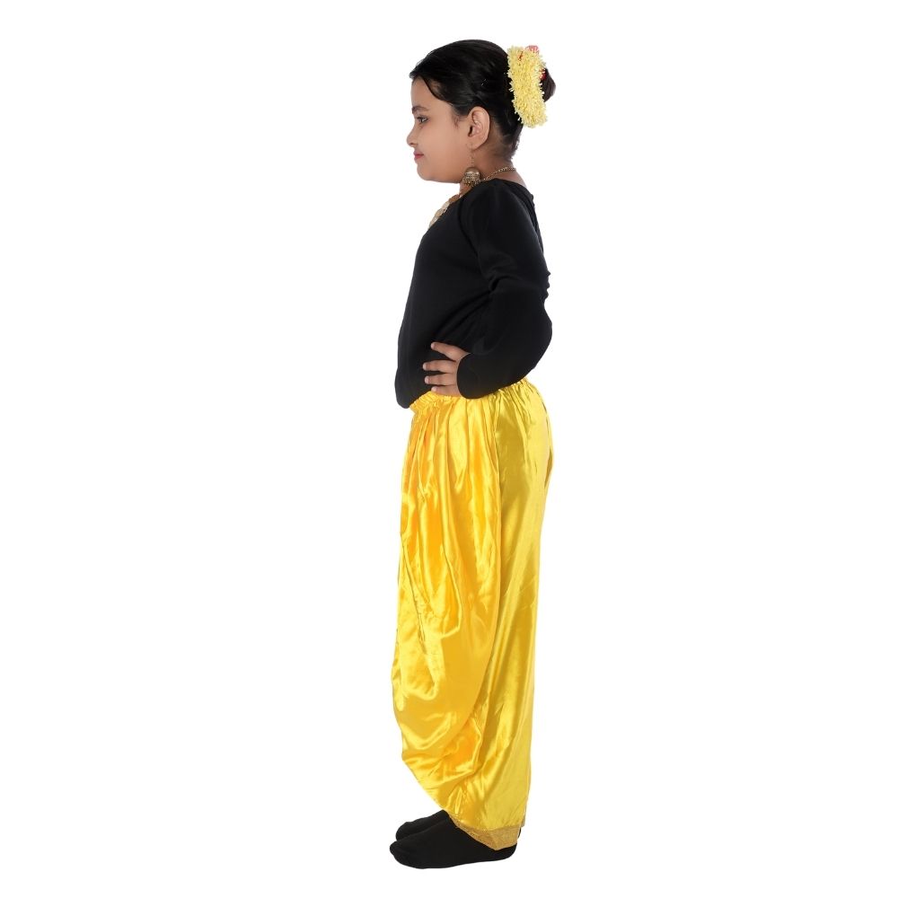 Semi Classical Fusion Dance Fancy Dress Costume