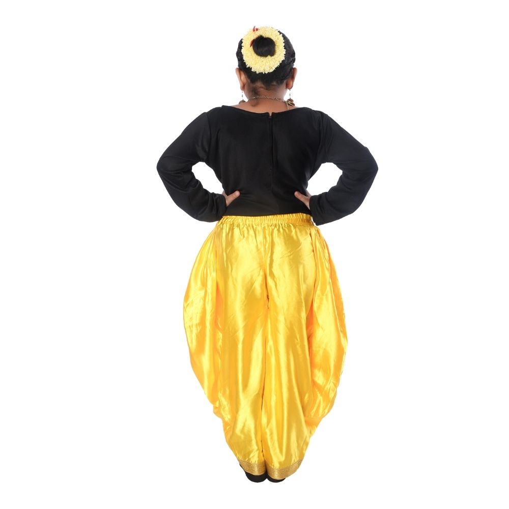 Semi Classical Fusion Dance Fancy Dress Costume