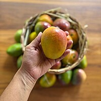 Sendhooram Mangoes