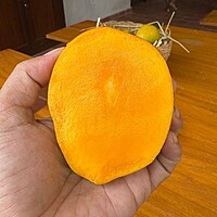 Sendhooram Mangoes