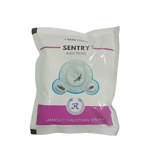 Sentry by Tata Rallies-62.5gm