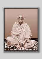 Swami Prameyananda - Vice-President (2009 – 11)