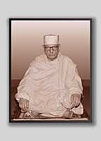 Swami Shivamayananda - Vice-President (2017 – 21)