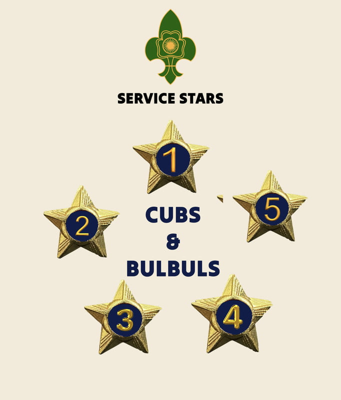 Cubs / Bulbul Service Stars Pins - 1 Year