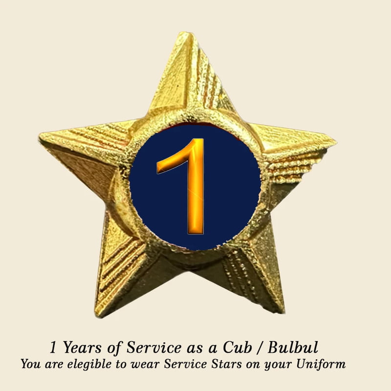 Cubs / Bulbul Service Stars Pins - 1 Year