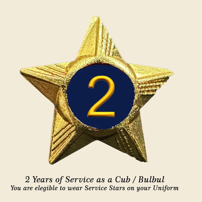Cubs / Bulbul Service Stars Pins - 2 Year