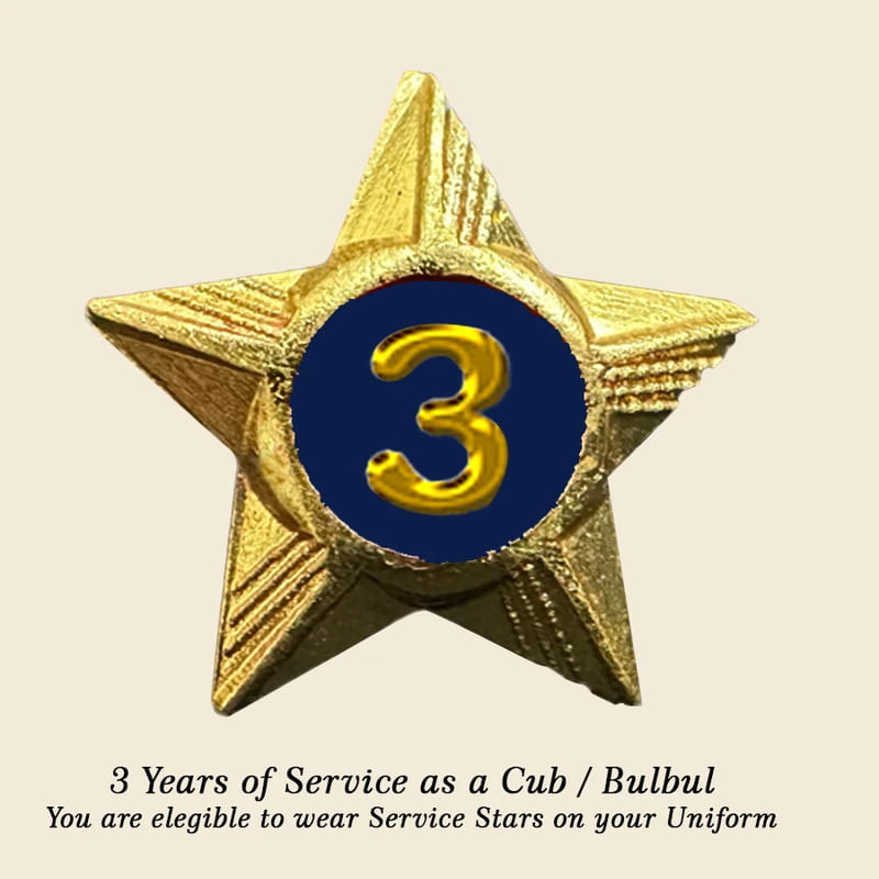 Cubs / Bulbul Service Stars Pins - 3 Year