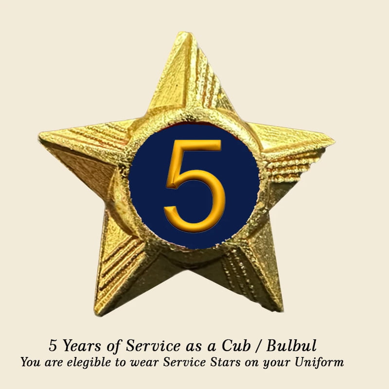 Cubs / Bulbul Service Stars Pins - 5 Year