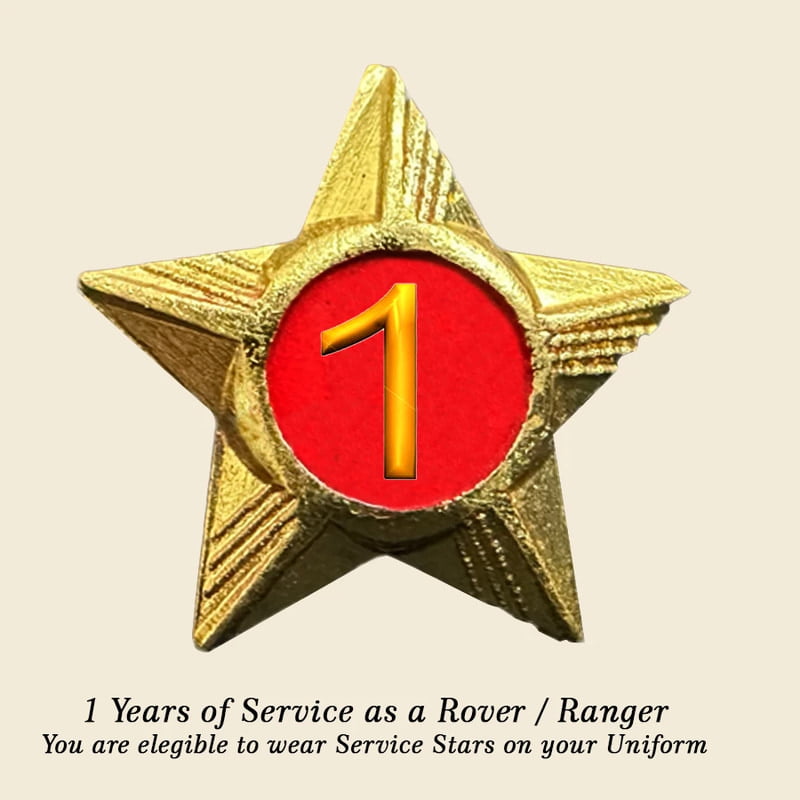 Rovers / Rangers Service Stars Pins - 1 Year