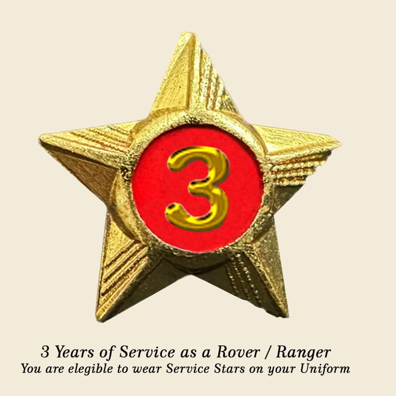 Rovers / Rangers Service Stars Pins - 3 Year