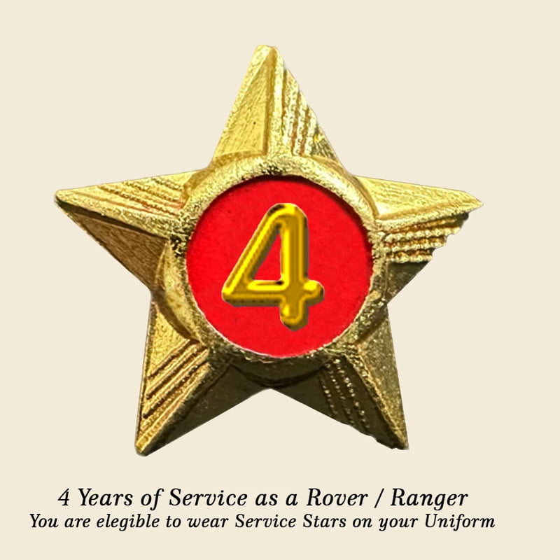 Rovers / Rangers Service Stars Pins - 4 Year