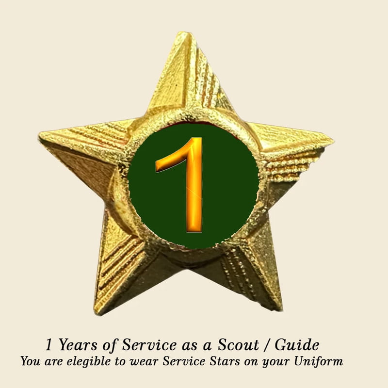 Scouts / Guides Service Stars Pins - 1 Year