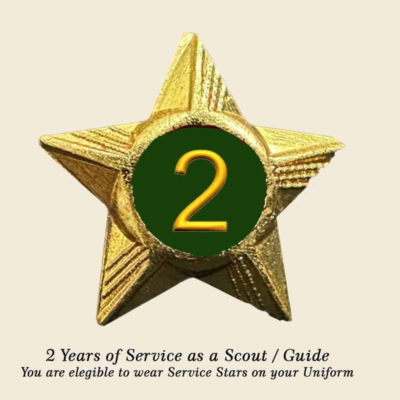 Scouts / Guides Service Stars Pins - 2 Year