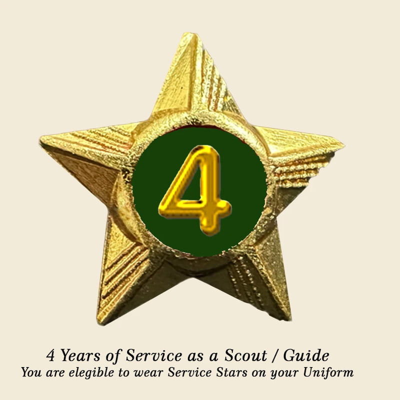 Scouts / Guides Service Stars Pins - 4 Year