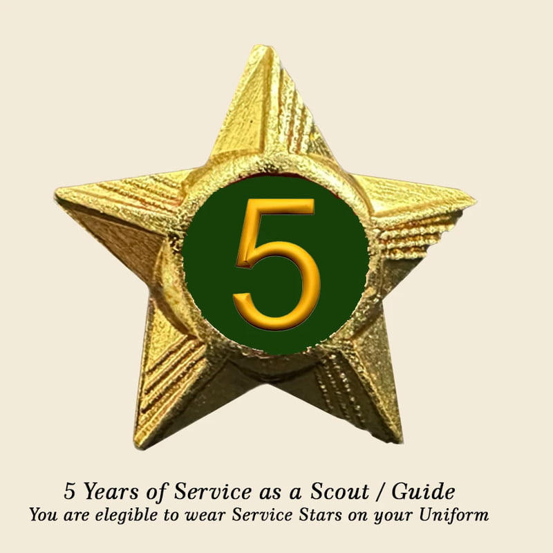 Scouts / Guides Service Stars Pins - 5 Year