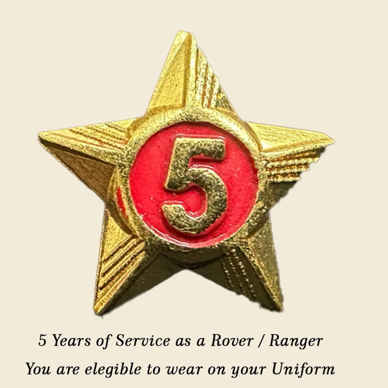 Rovers / Rangers Service Stars Pins - 5 Year