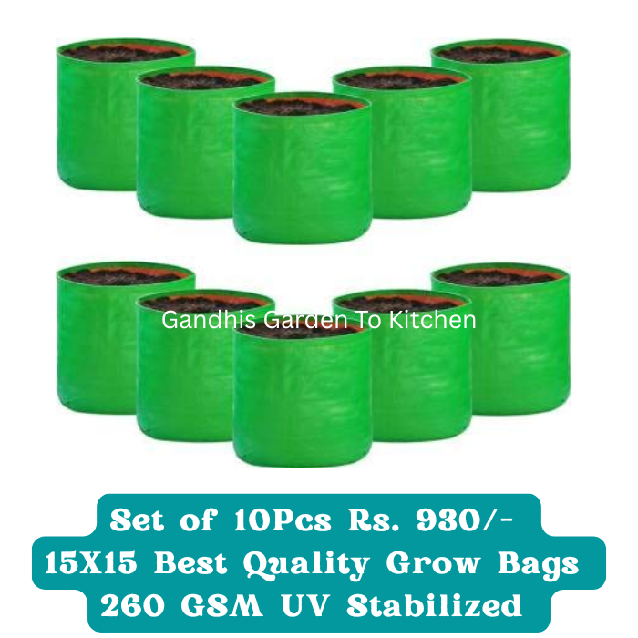 15 × 15 Inch Round HDPE Grow Bags – Set of 10 – 260 GSM