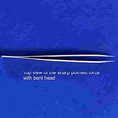 Entomological Forceps - 11.5cm curved with sharp tip