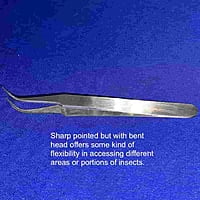 Entomological Forceps - 11.5cm curved with sharp tip
