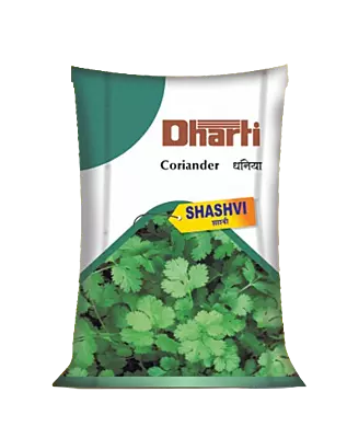 Coriandor seeds Shashvi by Dharti Seeds