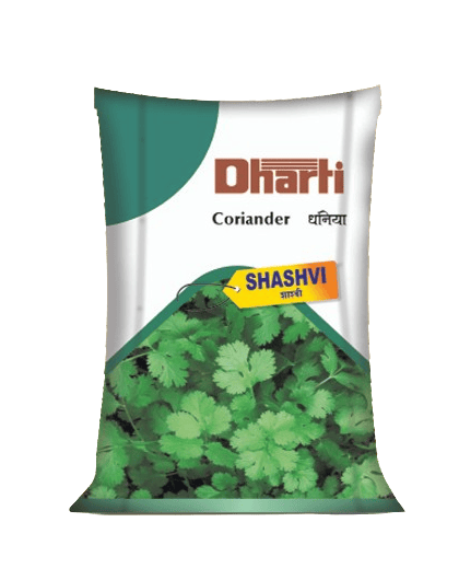 Coriandor seeds Shashvi by Dharti Seeds