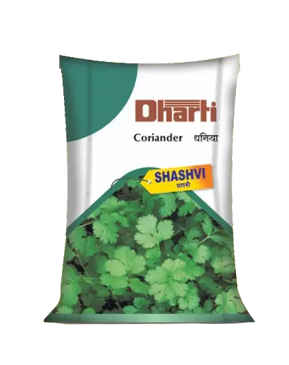 Coriandor seeds Shashvi by Dharti Seeds
