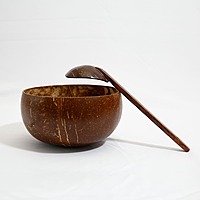 Shell Bowl -600-700 ML